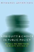 Ambiguity and Choice in Public Policy