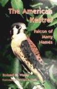 The American Kestrel