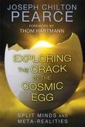 Exploring the Crack in the Cosmic Egg