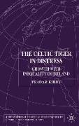 The Celtic Tiger in Distress