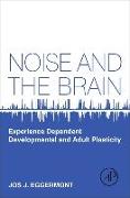 Noise and the Brain