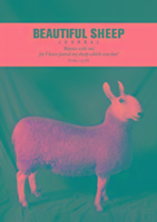 Beautiful Sheep Journal