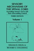 Sensory Mechanisms of the Spinal Cord