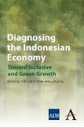 Diagnosing the Indonesian Economy