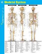 Skeletal System Sparkcharts, Volume 62