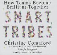 Smart Tribes: How Teams Become Brilliant Together