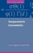 Nonparametric Econometrics
