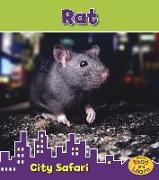 Rat