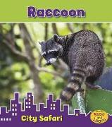 Raccoon