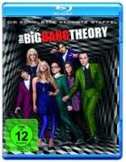 The Big Bang Theory - Die komplette 6. Staffel (2 Discs)