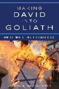 Making David Into Goliath: How the World Turned Against Israel