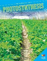 Photosynthesis