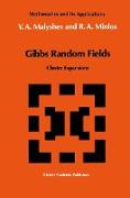 Gibbs Random Fields