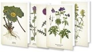 Kunstklappkarten "Flora"