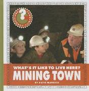 What's It Like to Live Here? Mining Town