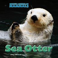 Sea Otter