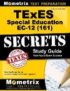 TExES Special Education Ec-12 (161) Secrets Study Guide: TExES Test Review for the Texas Examinations of Educator Standards