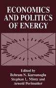 Economics and Politics of Energy