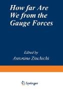 How Far Are We from the Gauge Forces