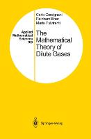 The Mathematical Theory of Dilute Gases