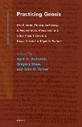 Practicing Gnosis: Ritual, Magic, Theurgy and Liturgy in Nag Hammadi, Manichaean and Other Ancient Literature