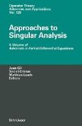 Approaches to Singular Analysis