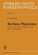 Surface Plasmons on Smooth and Rough Surfaces and on Gratings