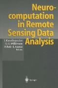 Neurocomputation in Remote Sensing Data Analysis