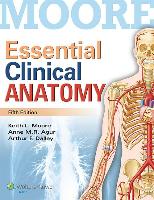 Essential Clinical Anatomy