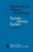 Somatosensory System