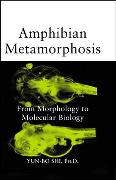 Amphibian Metamorphosis