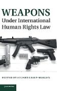 Weapons under International Human Rights Law