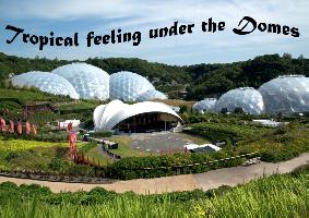 Tropical feeling under the Domes - UK Version (Wall Calendar perpetual DIN A4 Landscape)
