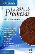 Biblia de Promesas Letra Grande-Rvr 1960