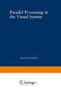 Parallel Processing in the Visual System