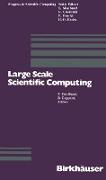 Large Scale Scientific Computing