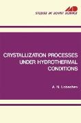 Crystallization Processes Under Hydrothermal Conditions