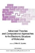 Advanced Theories and Computational Approaches to the Electronic Structure of Molecules