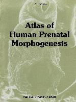 Atlas of Human Prenatal Morphogenesis
