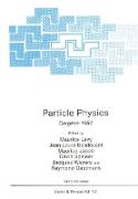 Particle Physics