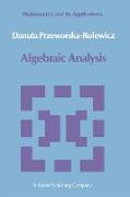 Algebraic Analysis