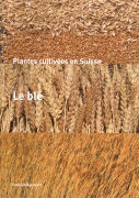 Plantes cultivées en Suisse - Le blé