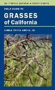 Field Guide to Grasses of California