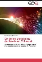 Dinámica del plasma dentro de un Tokamak