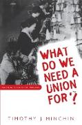 What Do We Need a Union For?