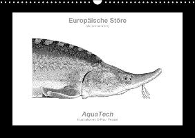 Europäische Störe (Acipenseridae): Fisch als Kunst (Wandkalender immerwährend DIN A3 quer)