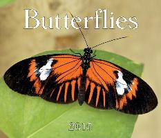 Butterflies Calendar