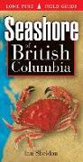 Seashore of British Columbia