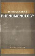 Introduction to Phenomenology