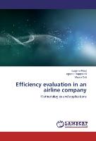 Efficiency evaluation in an airline company